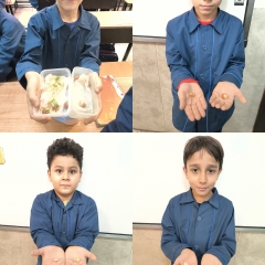 دبستان شیخ محمد خیابانی